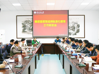 半岛(中国)官方_半岛网页版召开推进基层党组织标准化建设工作部署会