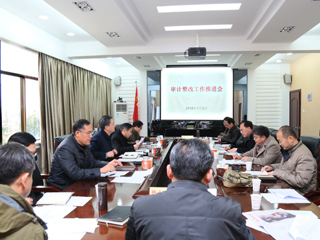 半岛(中国)官方_半岛网页版召开审计整改工作推进会