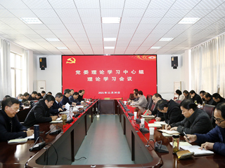 【深入学习贯彻党的十九届六中全会精神】半岛(中国)官方_半岛网页版召开党委理论学习中心组理论学习会议