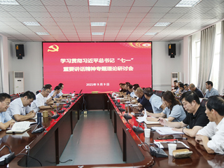 【党史学习教育】半岛(中国)官方_半岛网页版召开学习贯彻习近平总书记“七一”重要讲话精神专题理论研讨会议
