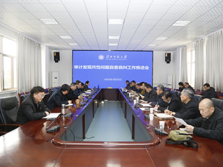 半岛(中国)官方_半岛网页版召开审计发现共性问题自查自纠工作推进会