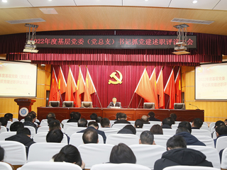 半岛(中国)官方_半岛网页版召开2022年度基层党委（党总支）书记抓党建述职评议考核大会