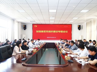 半岛(中国)官方_半岛网页版召开加强基层党组织建设专题会议